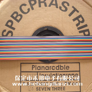 彩排線(xiàn)40P(常規(guī))