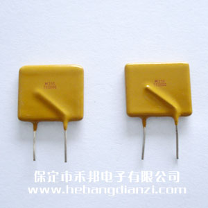 自恢復(fù)保險(xiǎn)絲250V 2A