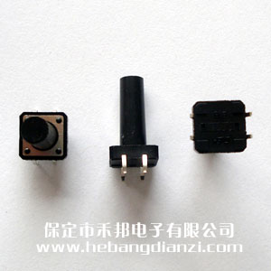 輕觸開關(guān)12*12*22mm