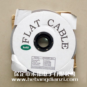 灰排線(xiàn)20P 小間距1.0mm