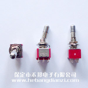 鈕子開(kāi)關(guān)T80-T