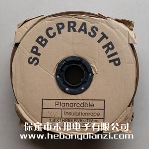 彩排線(xiàn)40P(粗)