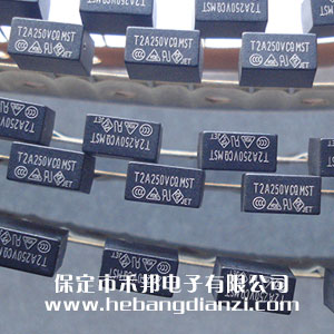 方型保險(xiǎn)絲T2A 250V 優(yōu)質(zhì)