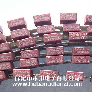 方型保險(xiǎn)絲T2A 250V 普通