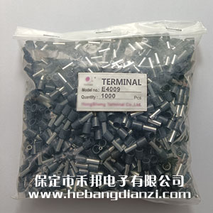 VE���Ͷ��� E4009 ��(n��i)�׏�4 ��ɫ