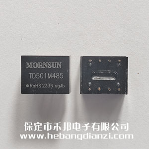 485���xģ�K TD501M485